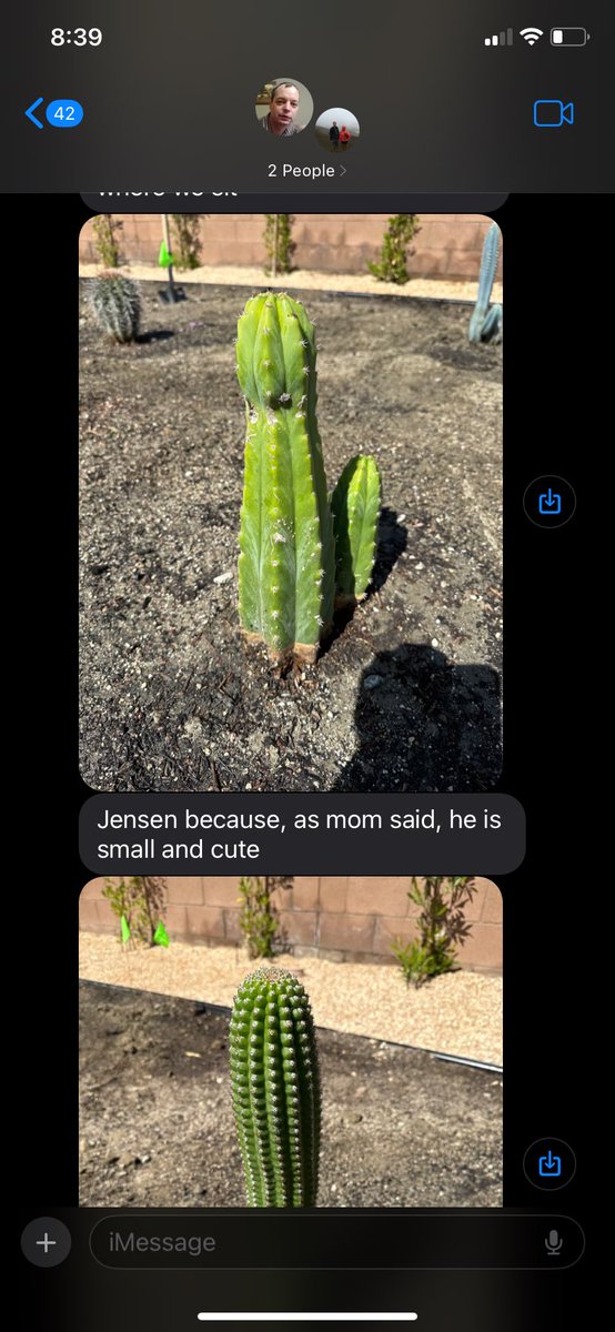 KC Busio 🐶 tweet media