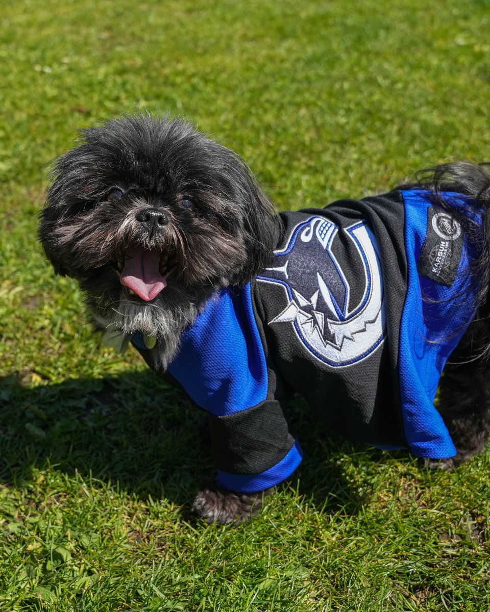Get ready, Vancouver! 🏒 Cheer on the @Canucks this Sunday at Playoffs in the Park, a free, family-friendly viewing event hosted by the City & @ParkBoard: 📅 Sunday, May 12 📍 Oak Meadows Park, Oak St & W 37th Ave 🕛 5:30 pm (puck drops 6:30 pm) 🚫 Alcohol is not permitted 1/3