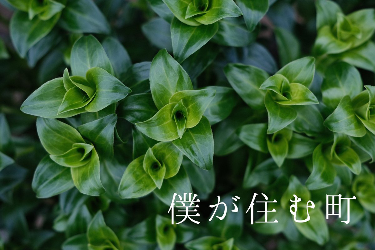 homare773's tweet photo. https://t.co/8tuAdQ7rHS https://t.co/vFNoDcKBYj