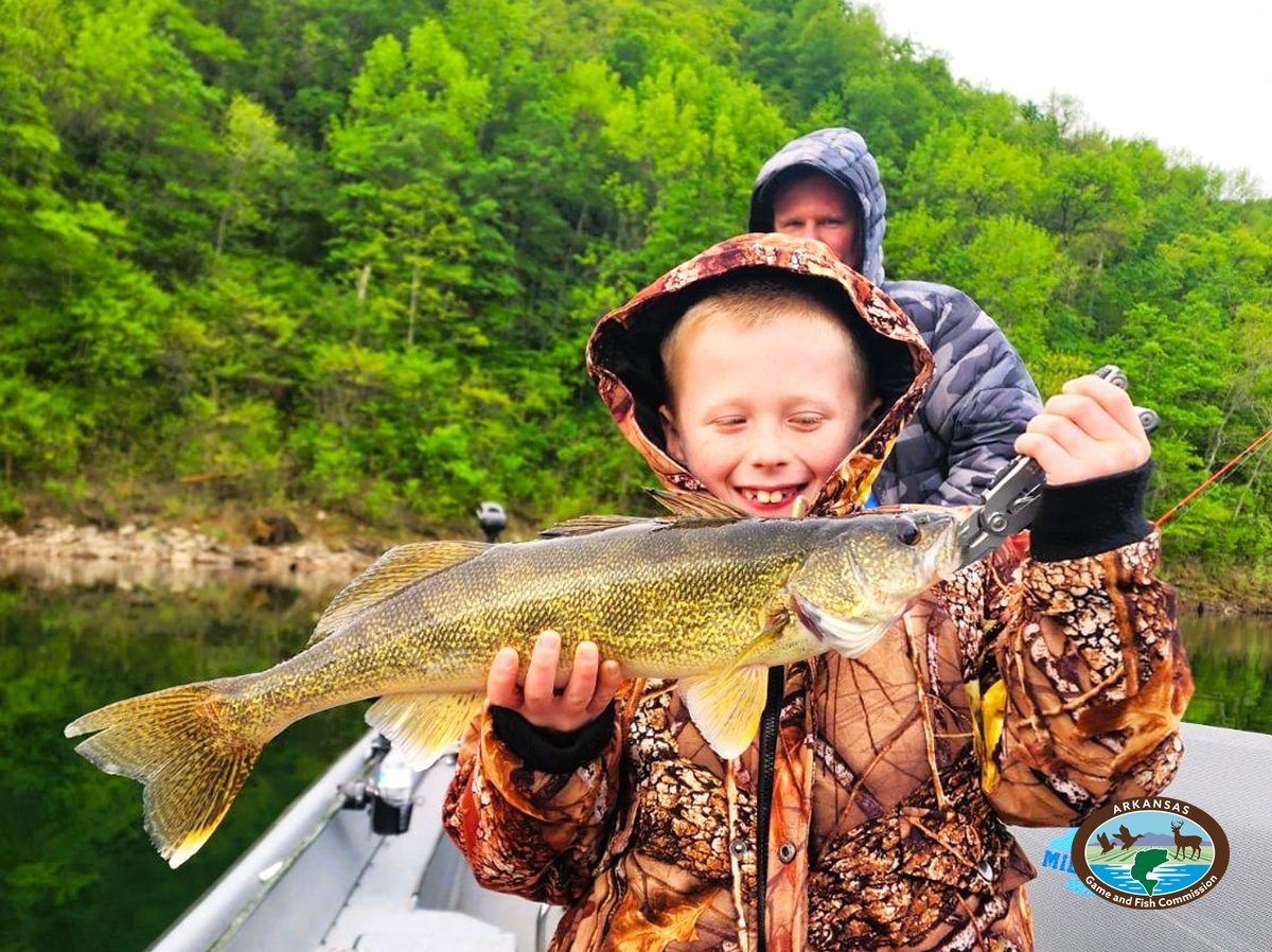 Arkansas Wildlife Weekly Fishing Report May 9, 2024 🎣 bit.ly/3QATOi4 A youngster, named Miles, recently ventured to the opposite corner of the state, just below Beaver Lake on the tailwater in northwest Arkansas, and found out how much fun walleye are to catch.