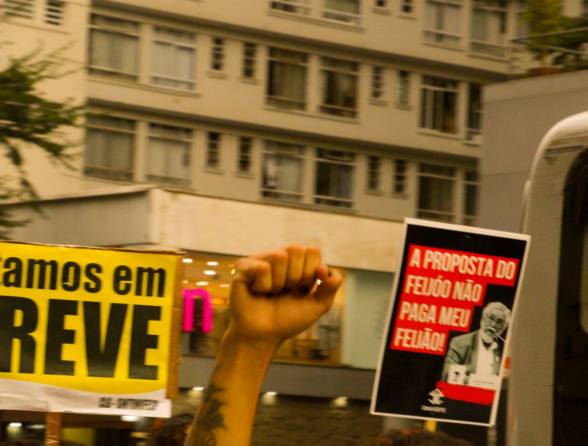 Gasparzinho pros Camaradas tweet media