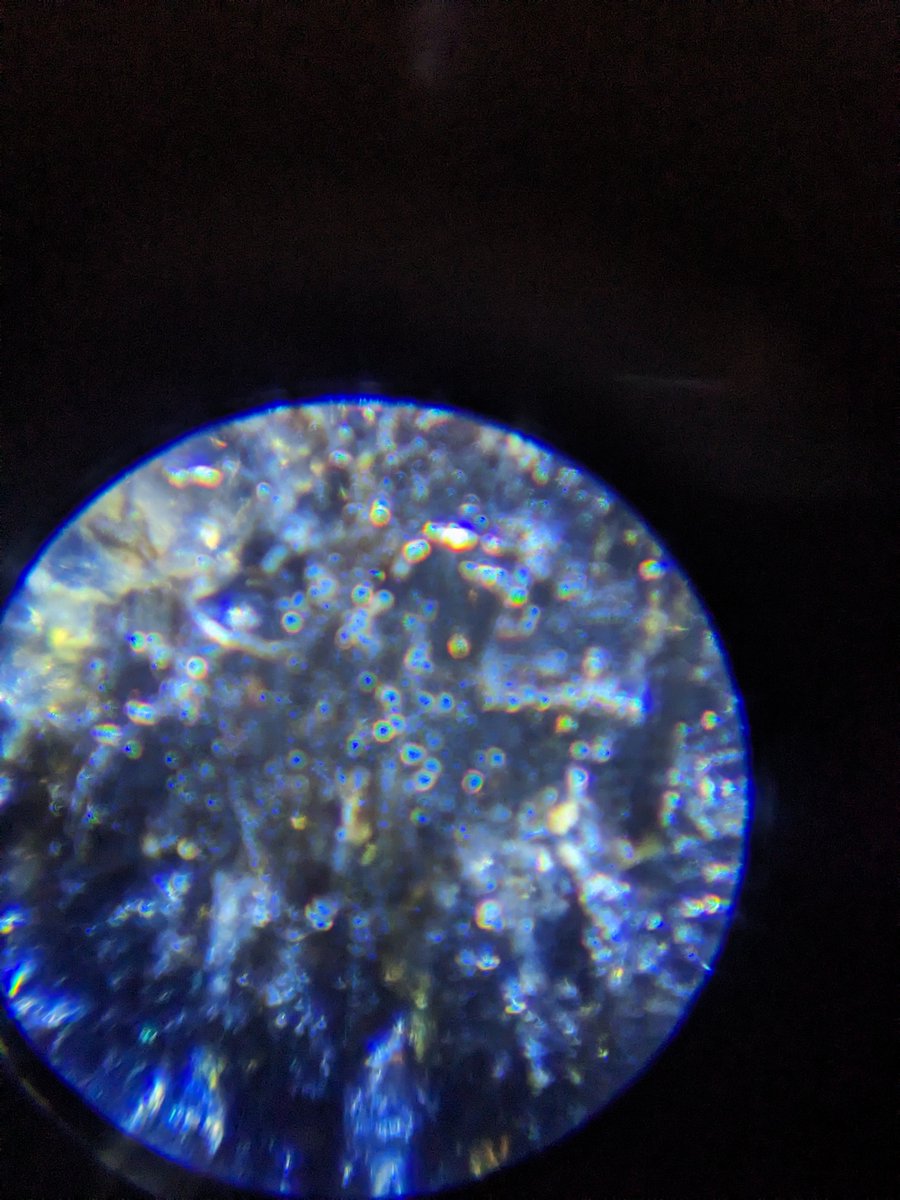 Today some children looked at Titanium Granite through a Microscope. Then they took a cell phone and photographed it through the lens. 

#rogangranite #granite #marble #quartz #nwi #Chicago #theregion #graniteisart #pocketmicroscope