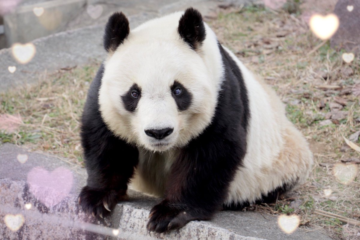 Sasmile (@Sasmile16) / Posts / X