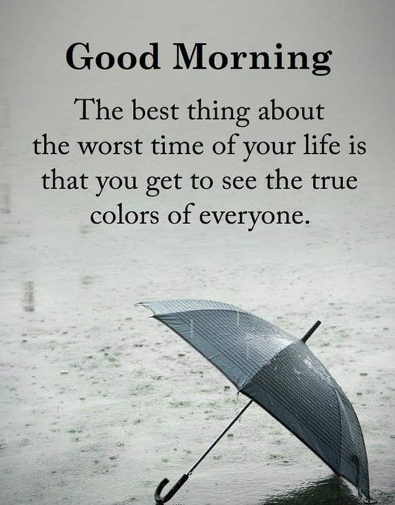 'The best thing about the worst time of your life is that you get to see the true colors of everyone.' Good Morning to My X Family ❤️🥰 #PTI_Folllowers #GoodMorningEveryone