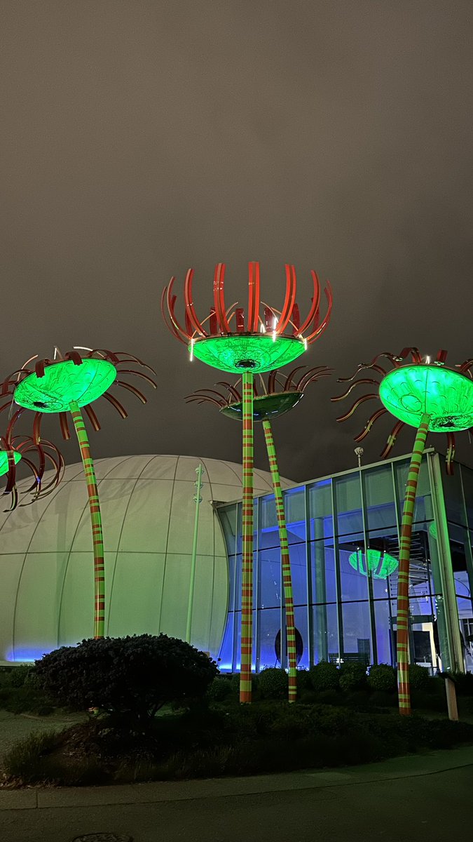 Brittany Long tweet media