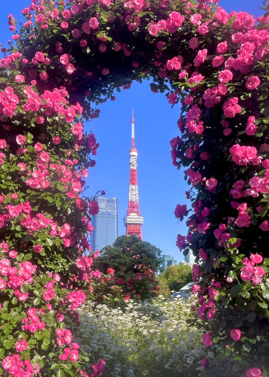 Happy mother's day from Tokyo❤️