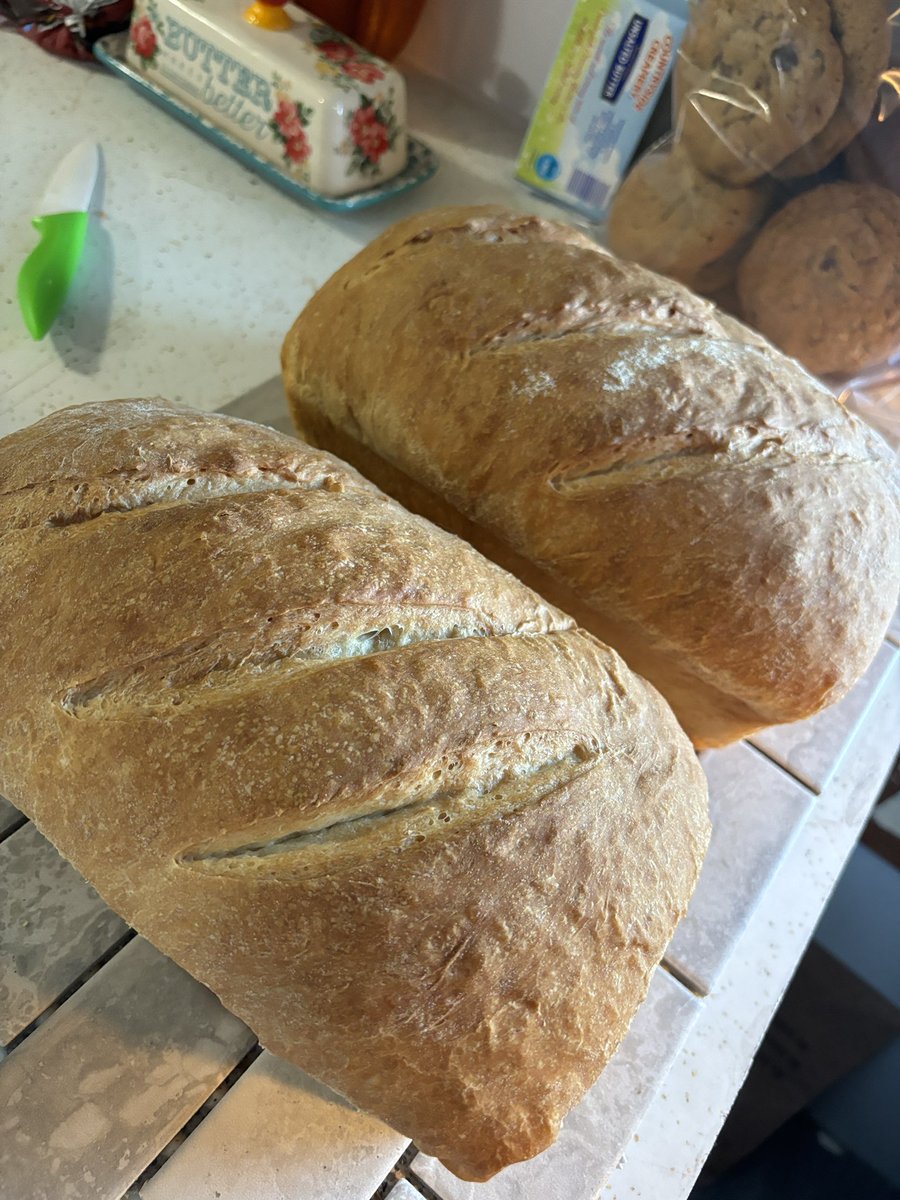 Busy busy day at this house! 2 dozen breakfast sausage muffins done (and mostly eaten) over 30 whole wheat oatmeal chocolate chip cookies done and bagged, 2 loaves of sandwich bread cooling and a sourdough boule in the oven.