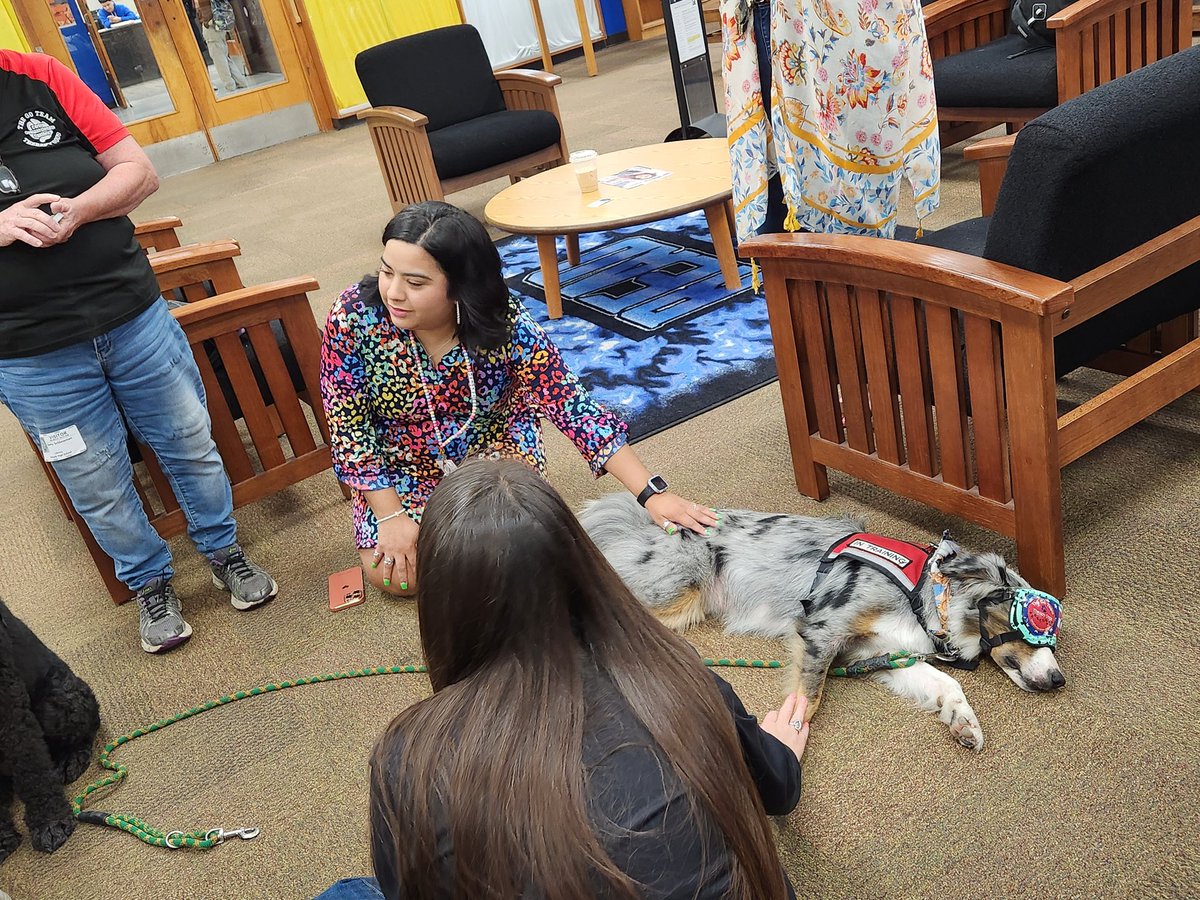 MoodyEnglishMonreal tweet media