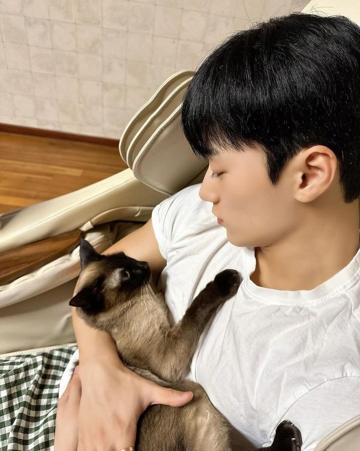 global_choisan's tweet photo. 산이 on his cat dad mode. 🤍

#산 #サン #SAN #CHOISAN #ATEEZ https://t.co/TQrMslZXr6