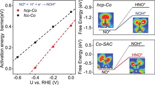 Computational Insights on Structural Sensitivity of Cobalt in NO Electroreduction to Ammonia and Hydroxylamine

@J_A_C_S #Chemistry #Chemed #Science #TechnologyNews #news #technology #AcademicTwitter #ResearchPapers

pubs.acs.org/doi/10.1021/ja…