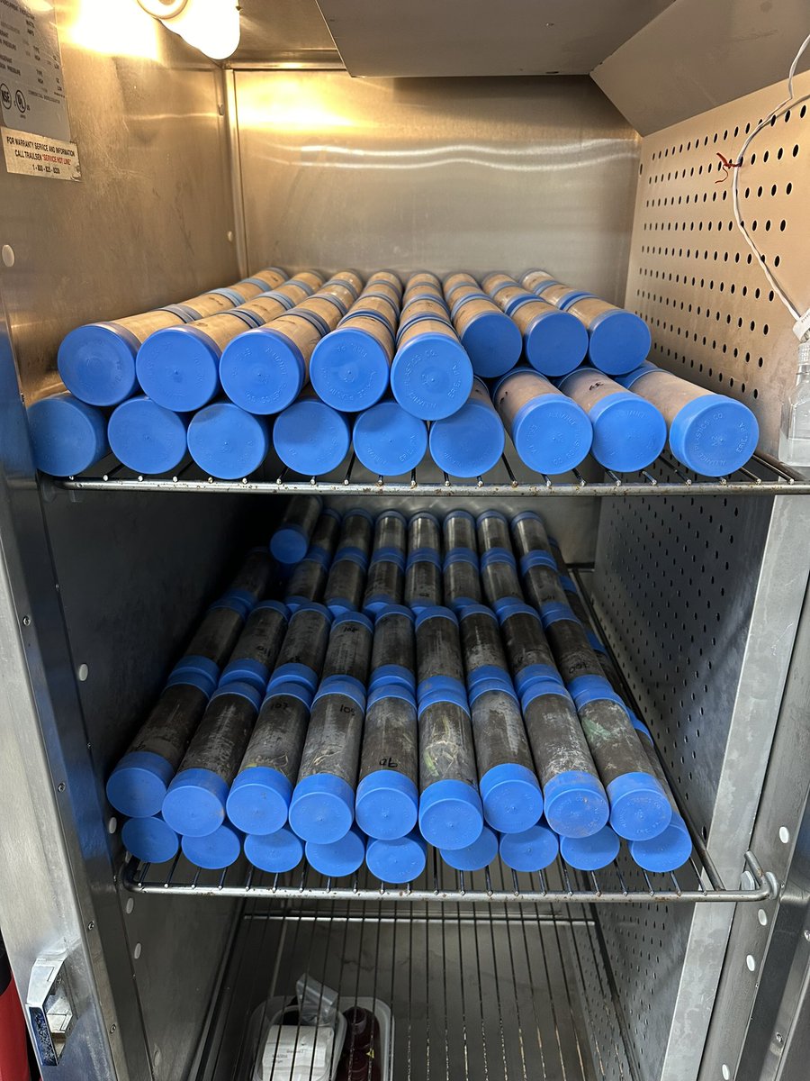 144 soil cores for our 2024 nematode sampling, 32 more to go! It’s always satisfying to see the fridge fill up. 😮‍💨

#soil #soilhealth #fieldwork #soilecology  #nematodes #agriculture