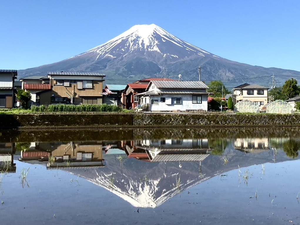 5月10日(金)
久しぶりの五月晴れ☻
今朝のくっきり逆さ富士、
スタッフが撮りに行ってくれました！
田んぼに水が入り、
このあと田植えの時期を迎えます🌱🌱
.
The Mount Fuji reflected in the rice fields is perfect!!
#富士吉田 #fujiyoshida