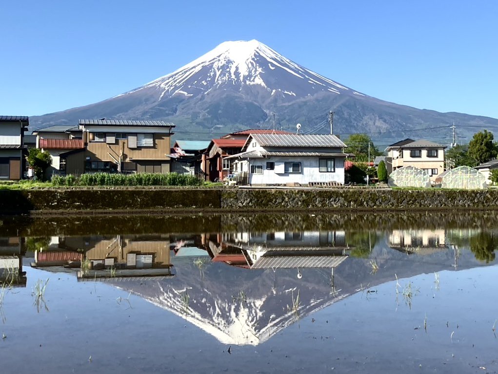 5月10日(金)
久しぶりの五月晴れ☻
今朝のくっきり逆さ富士、
スタッフが撮りに行ってくれました！
田んぼに水が入り、
このあと田植えの時期を迎えます🌱🌱
.
The Mount Fuji reflected in the rice fields is perfect!!
#富士吉田 #fujiyoshida