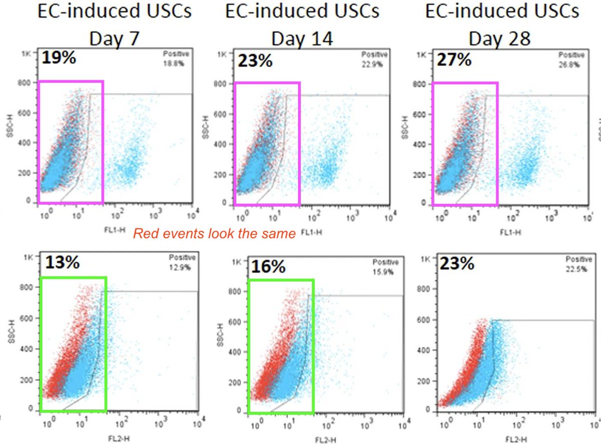 Question for #FlowCytometry #FACS experts: 
Would it be appropriate to use the same isotype control (marked here with red dots) for samples obtained at different timepoints? Blue dots are different, but red dots look remarkably similar in the colored boxes.