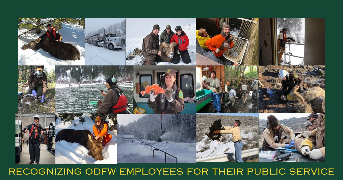 In rain, snow or sleet…in the field, on the river or on the ocean….nothing stops ODFW staff from working for fish, wildlife and their habitats. Thanks to all ODFW employees for their service to Oregon! #PublicServiceRecognitionWeek