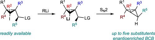 Synthesis of Stereodefined Polysubstituted Bicyclo[1.1.0]butanes

@J_A_C_S #Chemistry #Chemed #Science #TechnologyNews #news #technology #AcademicTwitter #ResearchPapers

pubs.acs.org/doi/10.1021/ja…