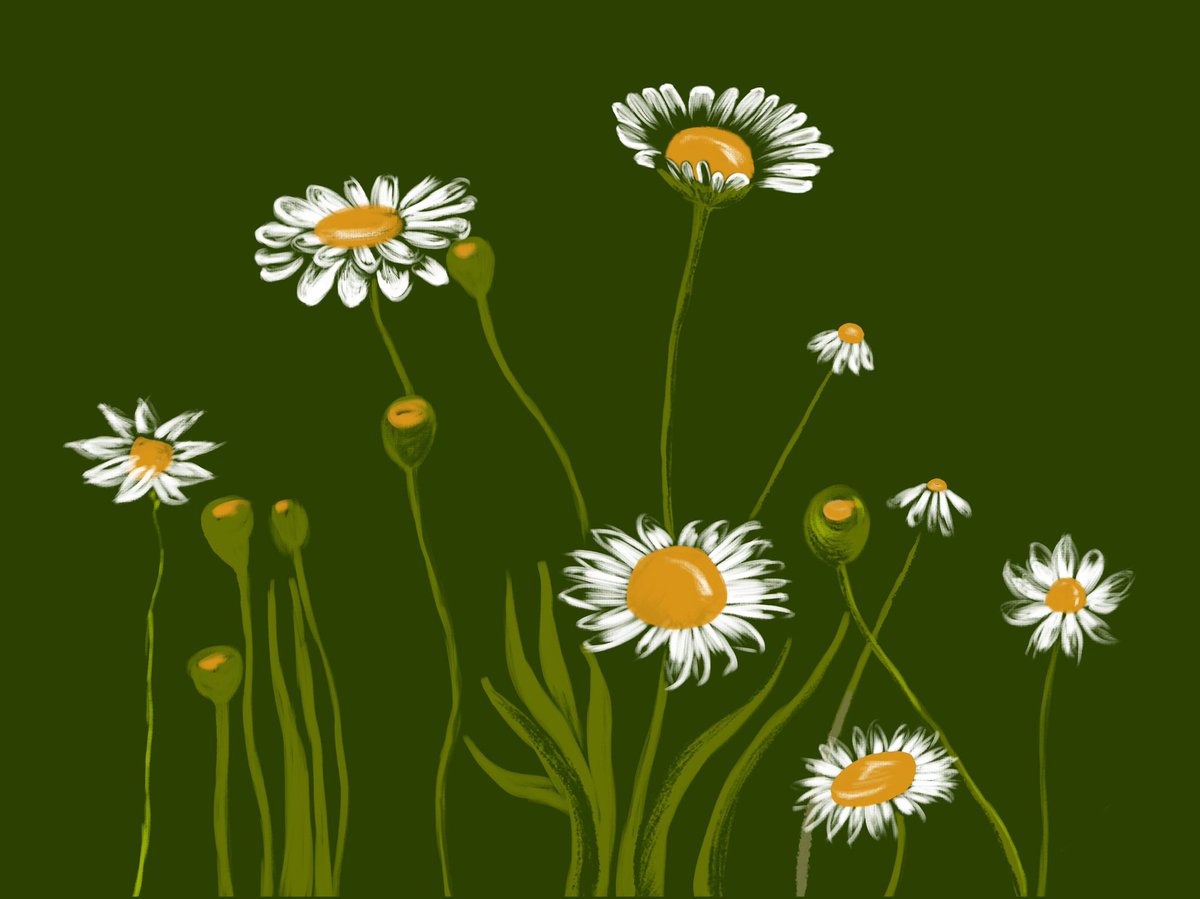 🎨 White Daisies

🏷️ 1.11 xtz

🌐 objkt.com/tokens/KT1Savp… 

#NFTs #NFTCommunity #nftart #tezoscommunity #TezosArt #NFTCollection #line #tezostuesday #wildflower
#NFT_Shill #tezos #Digital #digitalart #adobe #color