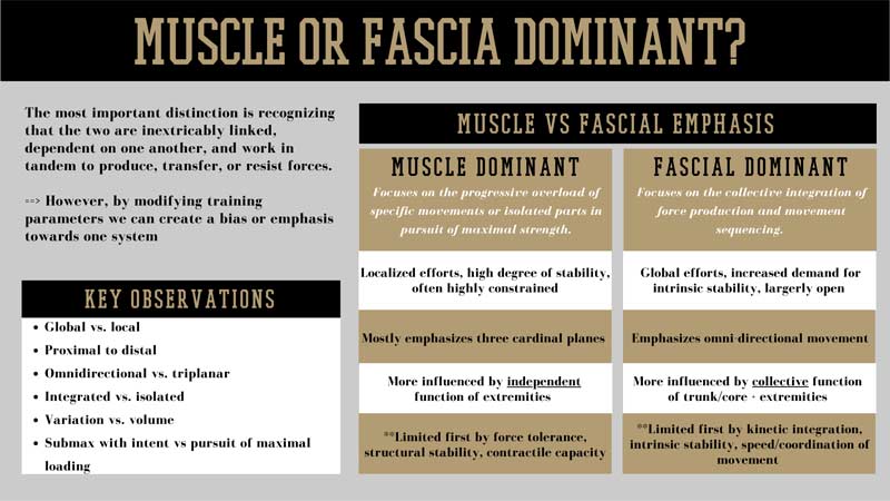 SF On This Day—5-9-2022 Improving Fascial Resilience for Sport Performance 'I see a fascial-based training approach as prioritizing the quality of integrated movement rather than the quantity of isolated components.' 📈 Flashback from @danny_ruderock ⤵️ simplifaster.com/articles/impro…