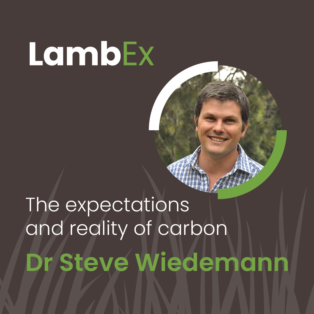 An opportunity with one of the country’s most respected & sought after experts, Dr Steve Wiedemann, Integrity Ag, addresses the facts & potholes on the expectations & realities of carbon at #lambex24. Full details lambex.org.au/program Register NOW bit.ly/4aaStWx