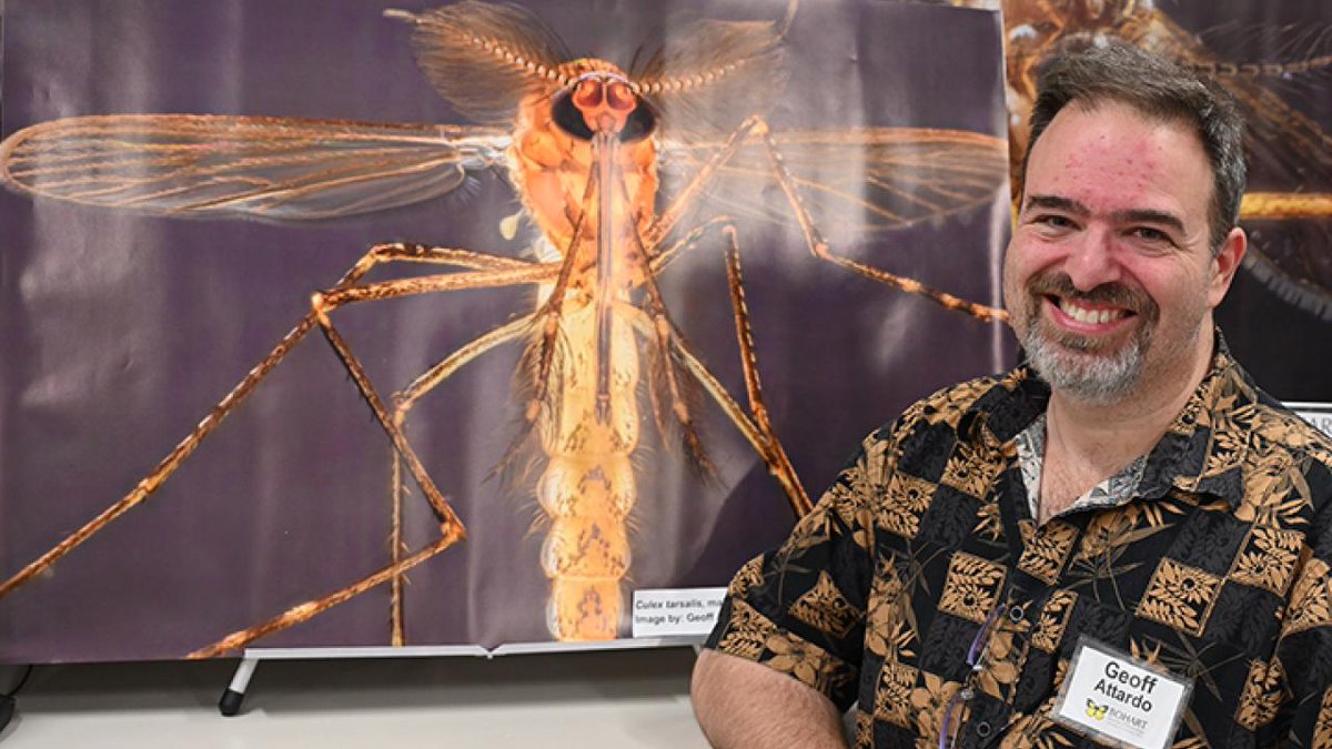 Don't miss #ucdavis medical entomologist-geneticist Geoffrey Attardo's talk on control of mosquitoes on Wednesday, May 15 at Center for Land-Based Learning, Woodland. Free event is from 4:30 to 7:30. Pizza and beverages, too! tinyurl.com/4496utd7