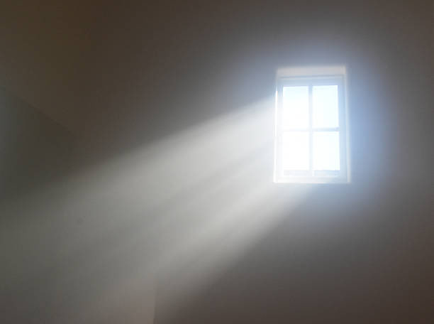 Bleu_Owl's tweet image. Sunlight :

I cry joyless tears,
Moment’s of Solace … some days-
Standing in Sunlight ~

#senryu #haiku #nature #poetry 
#PoetryCommunity #poetic #poets 
#haikuchallenge Joy* @Bleu_Owl