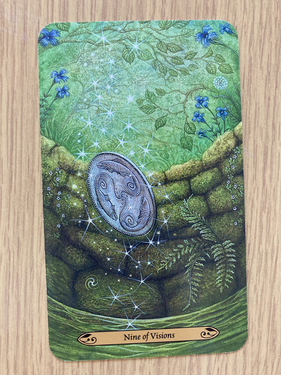 本日の1枚
ナインオブビジョン🥤

気持ちのままに行動したい日。
やりたいこと、心地いいこと、心が満たされる1日にしましょう🌟