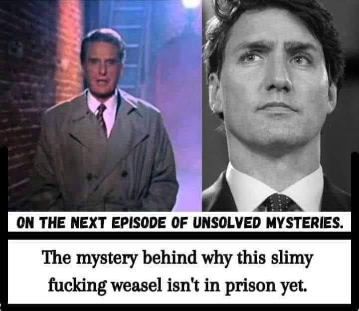 This should be a whole season of Unsolved Mysteries featuring many different leaders, puppets and puppeteers. And would be riveting & compulsory viewing…..