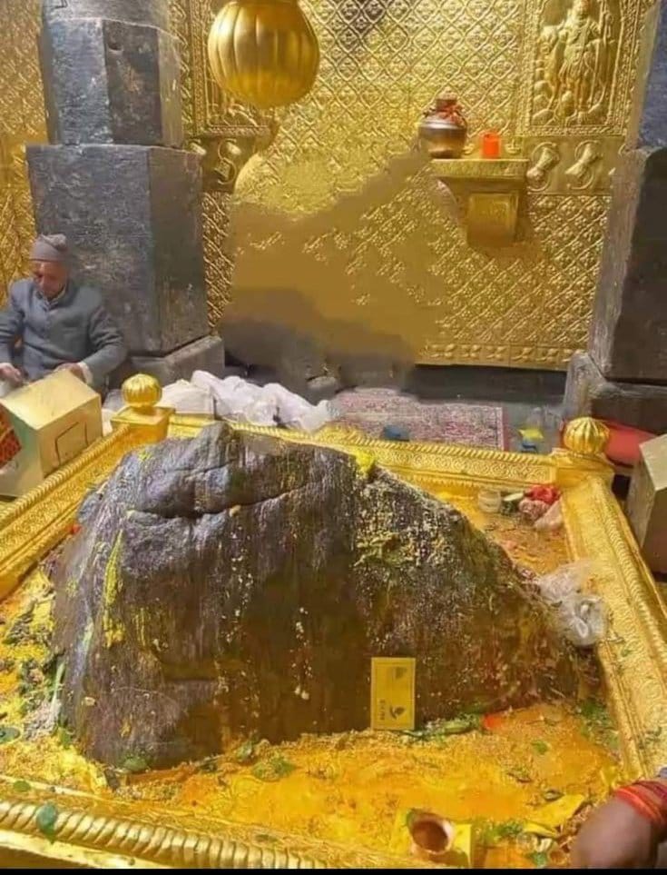 शिव ही सत्य है बाबा केदारनाथ के प्रथम दर्शन ❣️