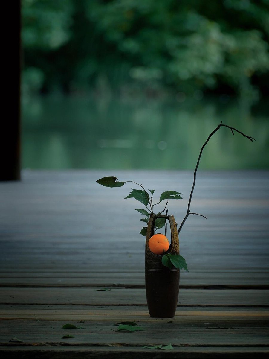 A beautiful moment in the morning.
.
.
.
#outdoortea #naturephotography #naturelovers #tealover #yixingteapot #teatray #teaart #artistic #aesthetics #beautifulplaces #quietmind #innerpeace #peaceandcalming #teaoftheday #slowlife #chinesetea #teatime #cozyandcomfy #morimatea