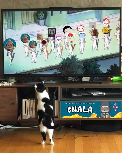 NalaCatCoin's tweet photo. $NALA is leading the Pack !

The number 1 Cat Coin is slowly paving it's way !

You are still early, let this be a memorable journey !!!

#NalaOnSolana #memecoin #Solanameme https://t.co/GrpP9uG35l
