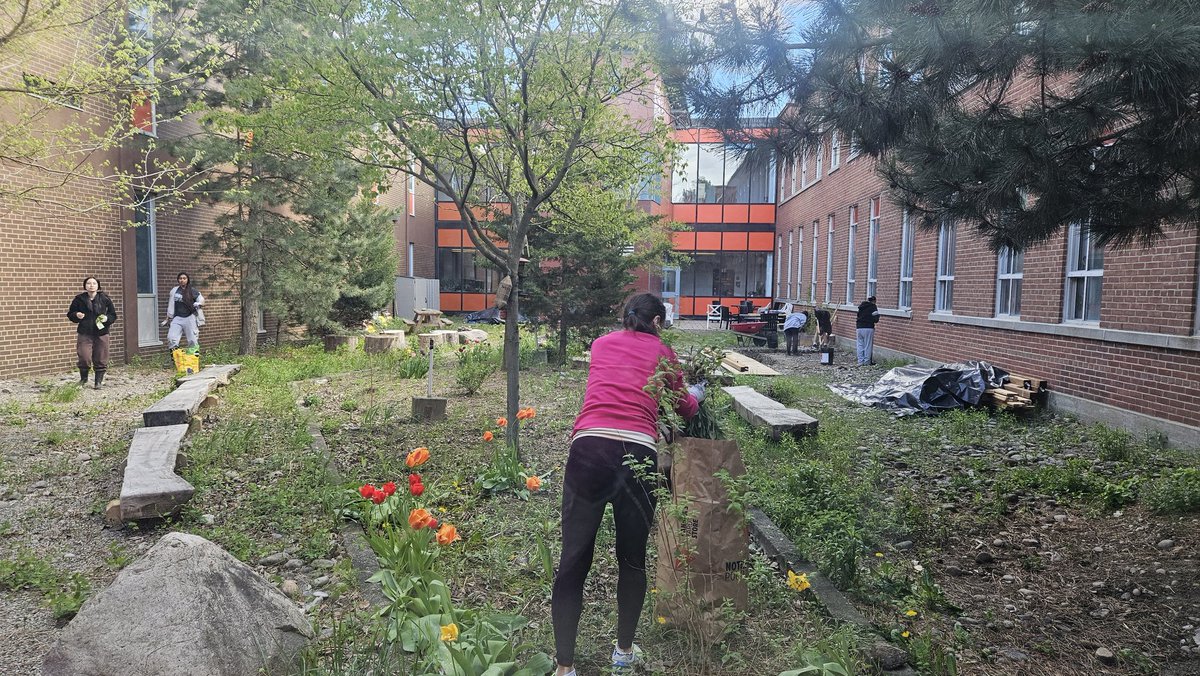 The @tdsb_DSS courtyard landscaping is coming together nicely. Thank you @sonia94554145 for supporting this landscaping student club and to @TDSB_CCEL for funding this Green Space initiative. @DomenicGiorgi @LC2_TDSB @Jandu_Navjot @tdsb