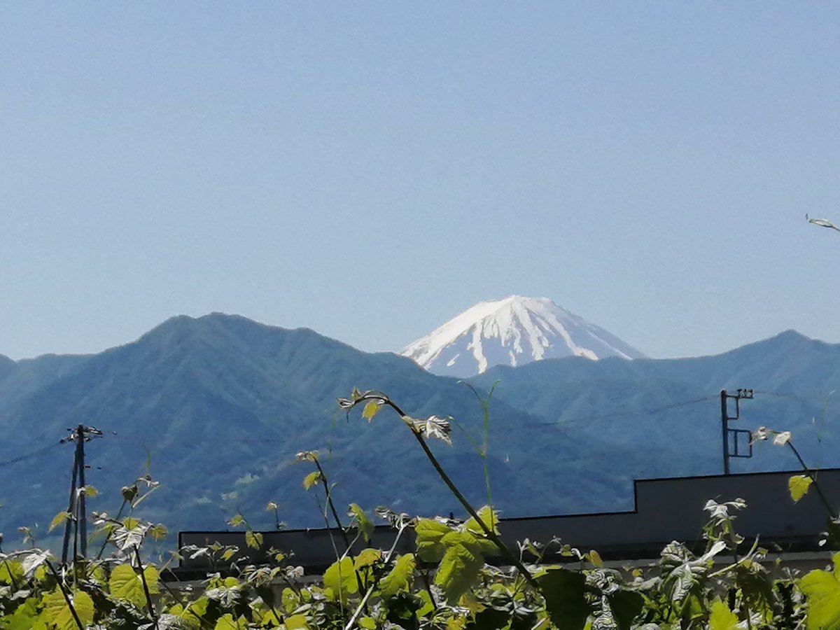 マックのシャカシャカポテト
トウモロコシ 味 また食べちゃった
マックのお姉さんが 富士山の写真を撮影してくれました