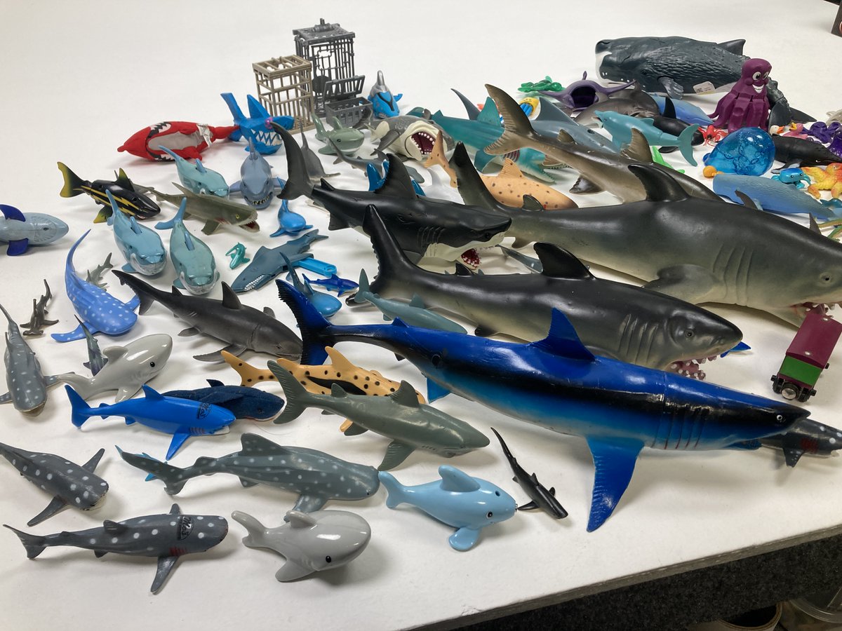 In case there was any question, yes I do collect toy sharks. And other sea life figures. #sharks #yearoftheshark #hoarder