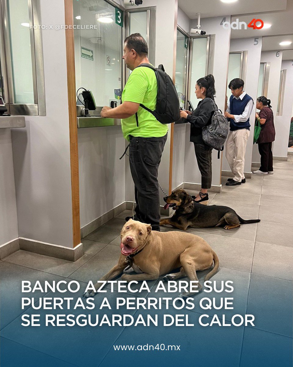 adn Noticias tweet media