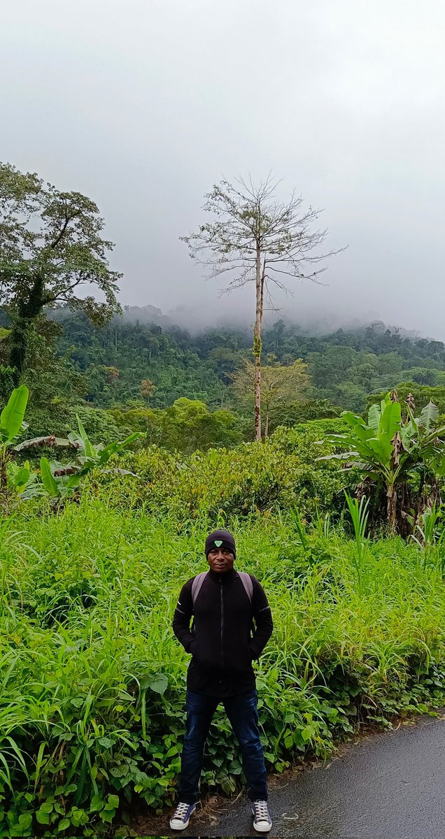Wake up with purpose.Our equatorial rainforests hold immense potential for climate action and environmental sustainability.These forests regulate rainfall patterns, prevent soil erosion, and mitigate climate change by absorbing vast amounts of greenhouse gases.