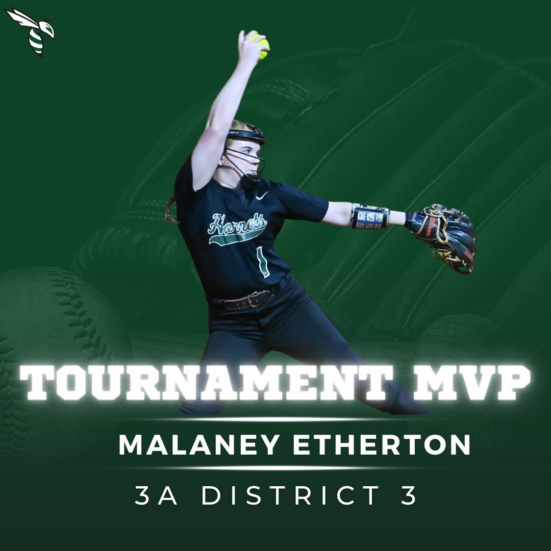 Carter Lady Hornet Softball (@_cartersoftball) on Twitter photo 