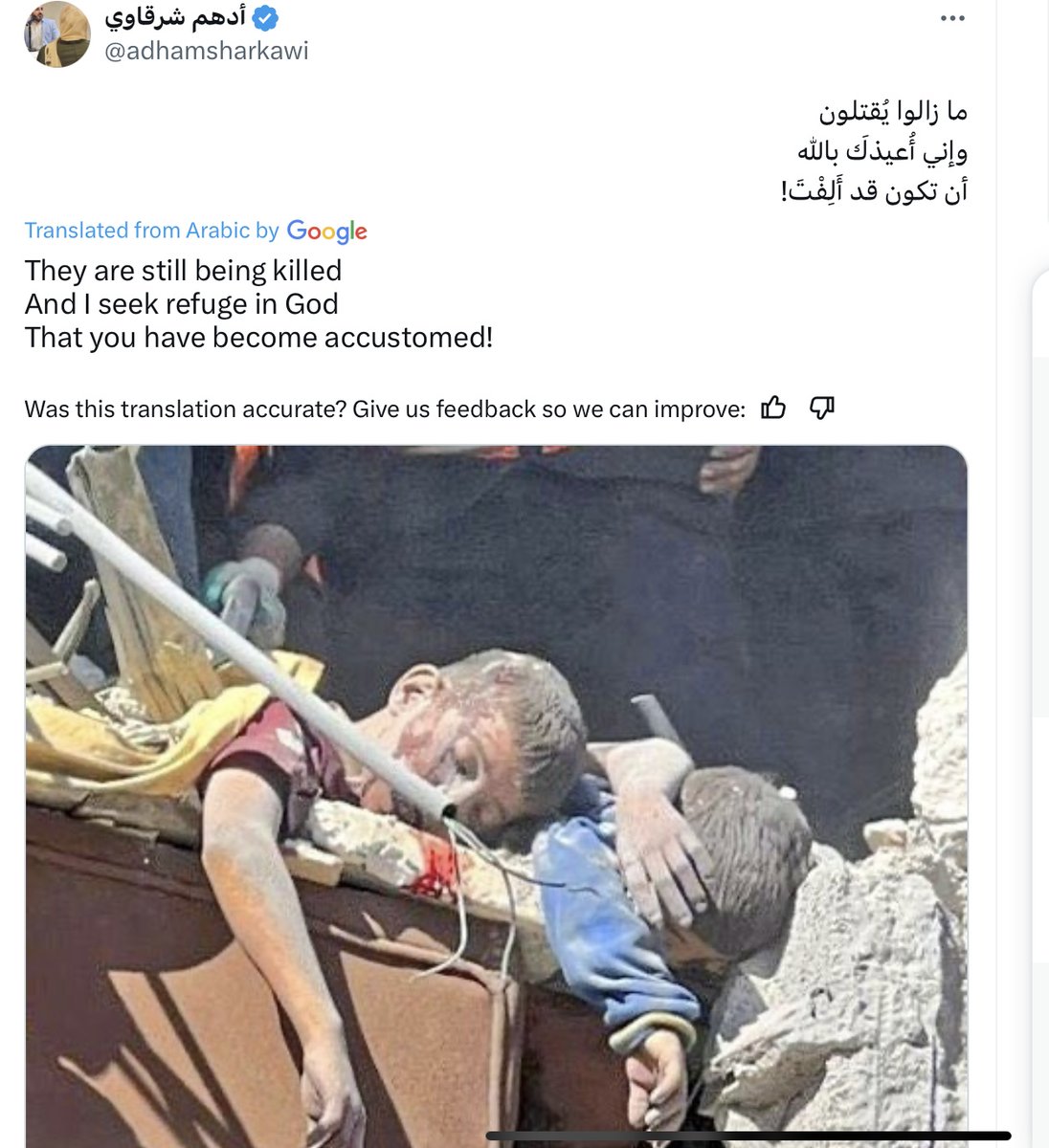 RealPalestina(א"י) 🇮🇱 tweet media