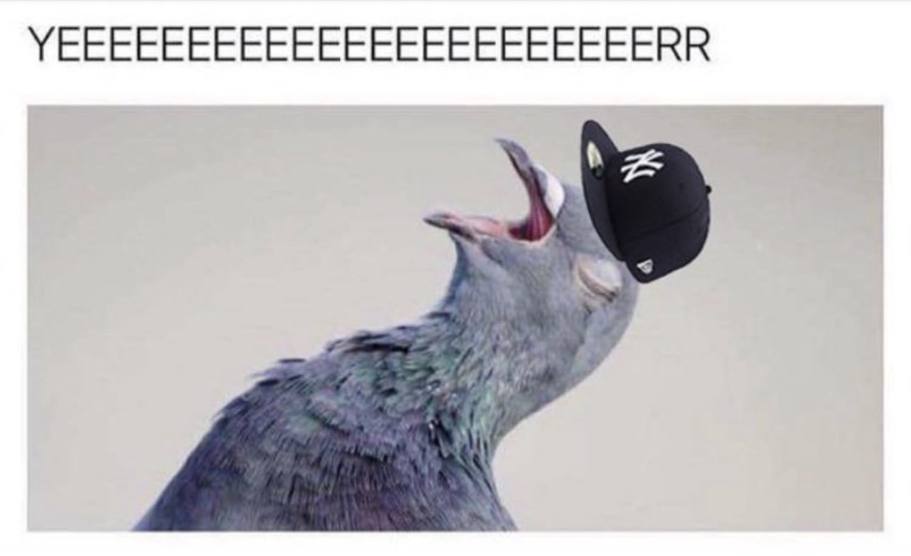 GNLpE-1XwAAjhmN.jpg:large