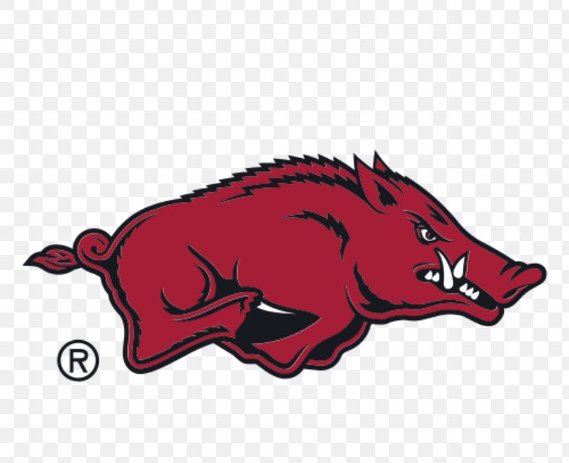 #AGTG After an outstanding conversation with @CoachMateos I’m blessed to say I’ve earned another D1 offer from… @RazorbackFB ❤️🤍@CoachBarnard61 @CoachBeauTrahan @dan_huebsch