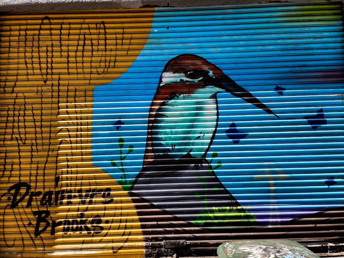 'Los pájaros nacidos en jaulas piensan que volar es una enfermedad'. #AJ
📍 Guadalajara, Jalisco
#Murales #ArteUrbano
#Art  #streetart #streetartdaily #streetartphoto #Photography #Creativity #MultiColored