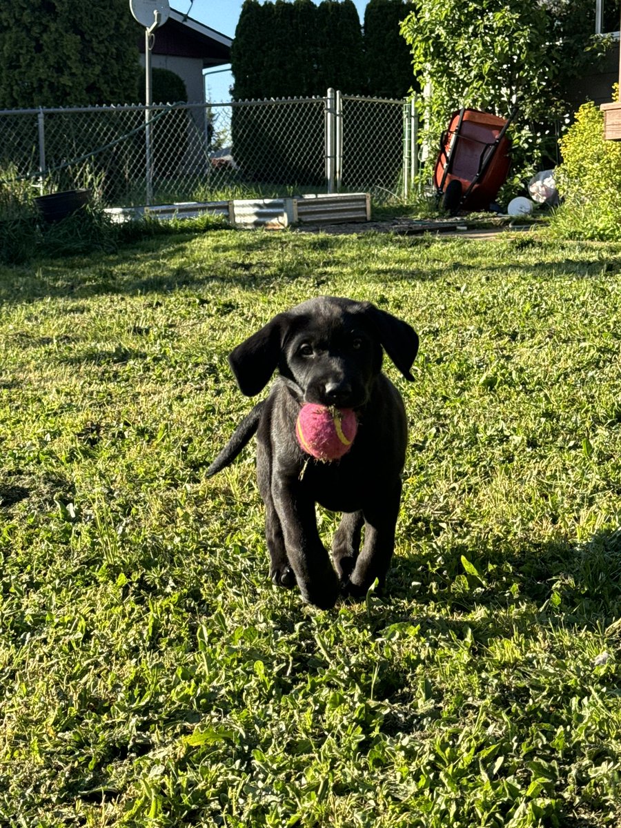 Enjoying the first really nice day in May!