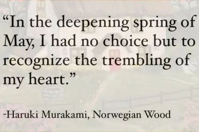 - Haruki Murakami