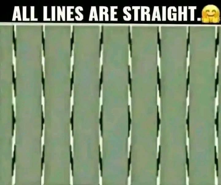 If you are LGBTQIA, these lines seem curvy If you are cis straight, they seem very straight What do you see?