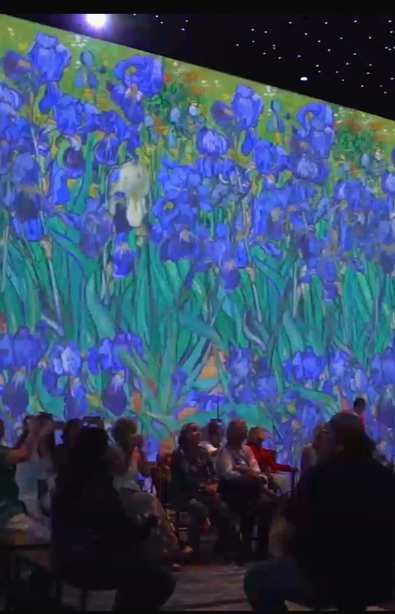 .@marseille, magnifique relais de la #FlammeOlympique sur le Vieux-Port. #Paris2024 En même temps, dans le Dock des Sud : 'Van Gogh, the immersive Experience' Une Expérience Artistique à 360 d° #Montpellier