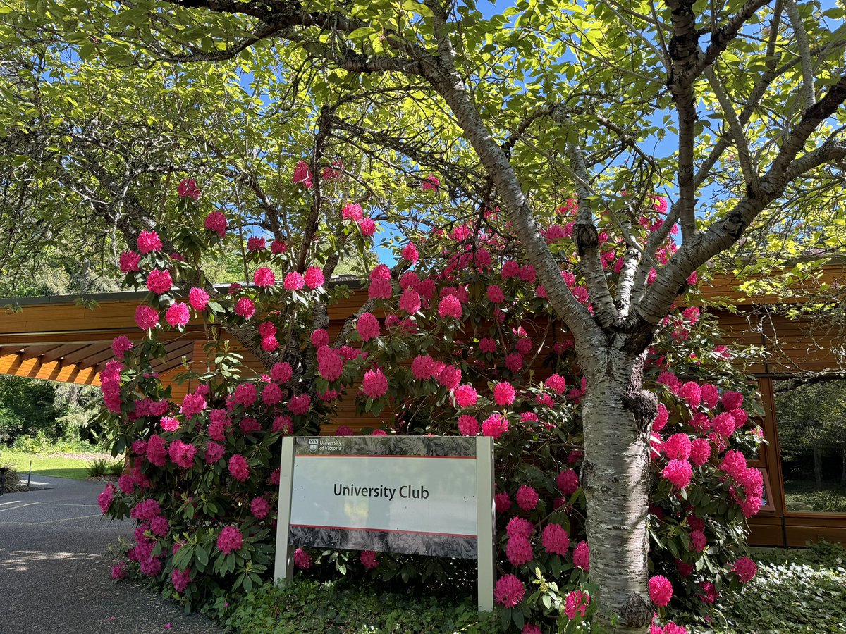 Wrapping up two days of productive discussions with CIHR HIV/STBBI Research Initiative Advisory Committee (CHASRAC) Hybrid Meeting in beautiful Victoria BC! Thanks to our Chair, Dr. Vera Caine for hosting us in @uvic and the wonderful Indigenous community event @CIHR_IRSC