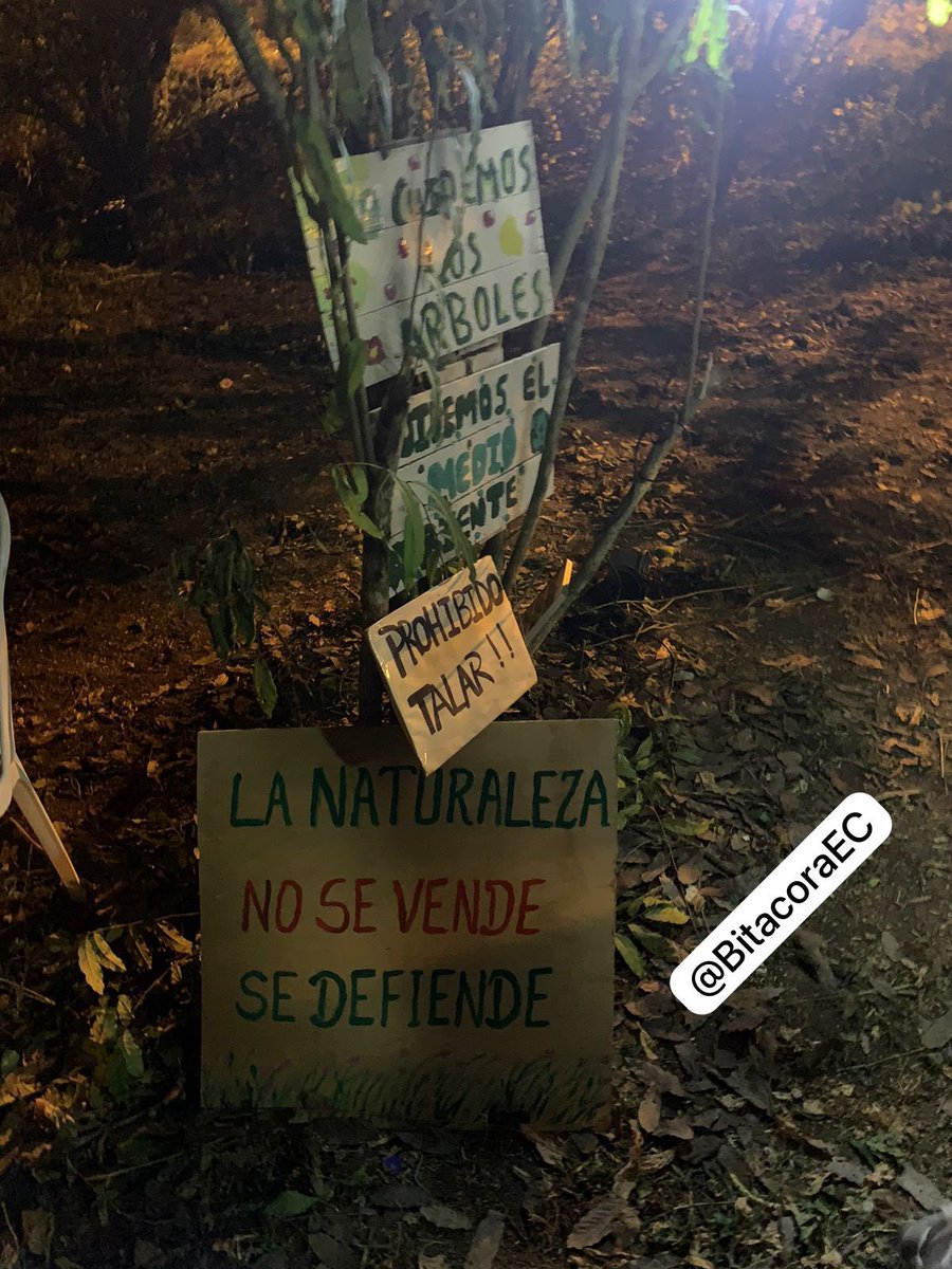 Mientras el Gabinete de @DanielNoboaOk cierra filas y protege a @SadeFritschiEc y sus omisiones, los comuneros de #Olon tienen una función de cine ambiental con los niños #EchoOlon #OlonResiste