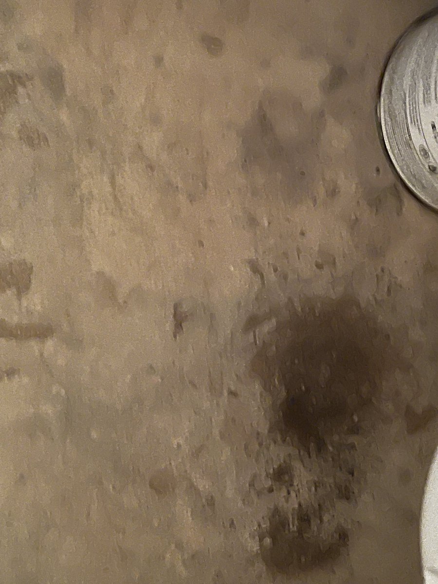 RDRowley3's tweet photo. Very disappointed with @vrbo. Stayed at a dirty, moldy place and spent over 6 hours trying to resolve it with no luck. Broken promises of call backs. Beware—no customer satisfaction guarantee and they treat you like a liar. https://t.co/BcWjkWo5wl