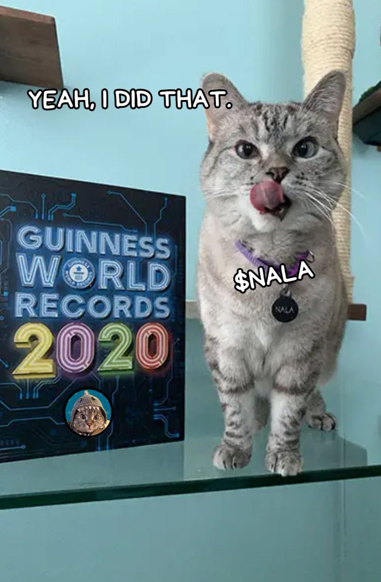 NalaCatCoin's tweet photo. Some World records will be broken today for #nala 

We are going for 1M MC today https://t.co/PnDLyDem4a