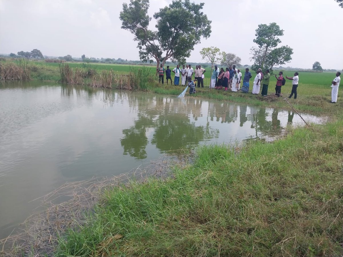 Fisheries
Training program on fresh water fish culture conducted by Trichy Centre for sustainable aquaculture at Ariyalur by TNJFU.