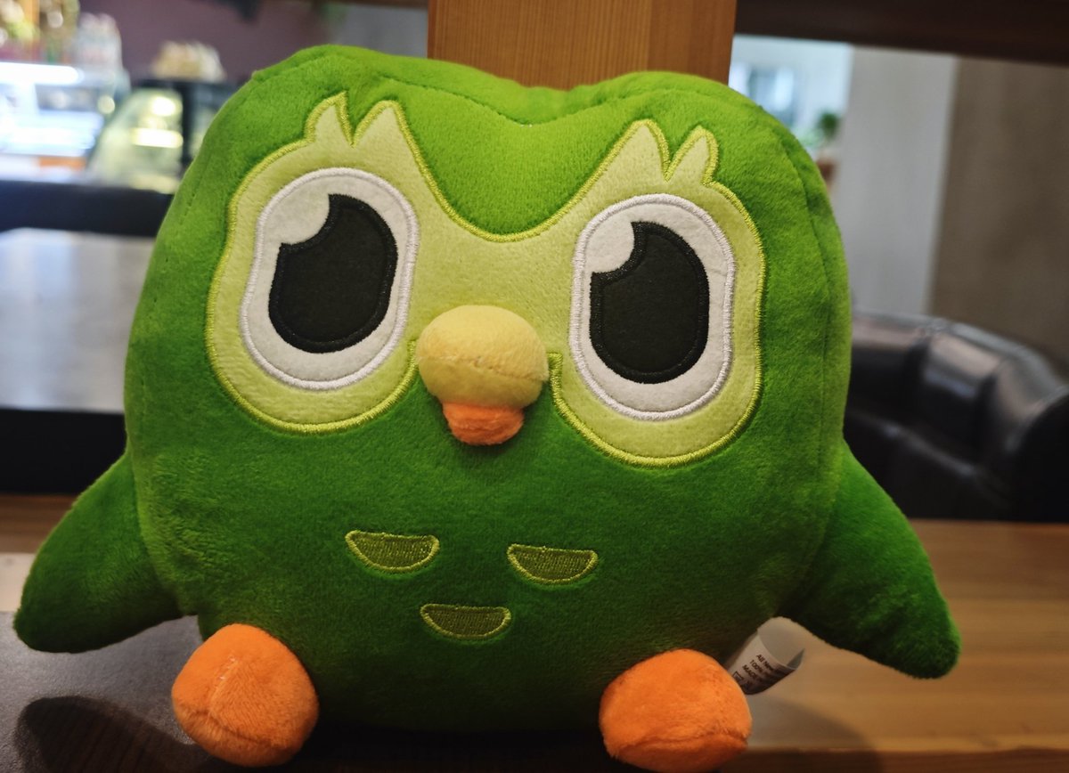 Celebrating my 240 days streak with a little gift 🎂🎉
#Duolingo #taobao